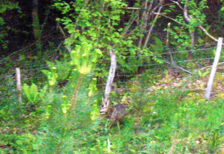 photo DSCN1703_zpsa8b4eea3.jpg
