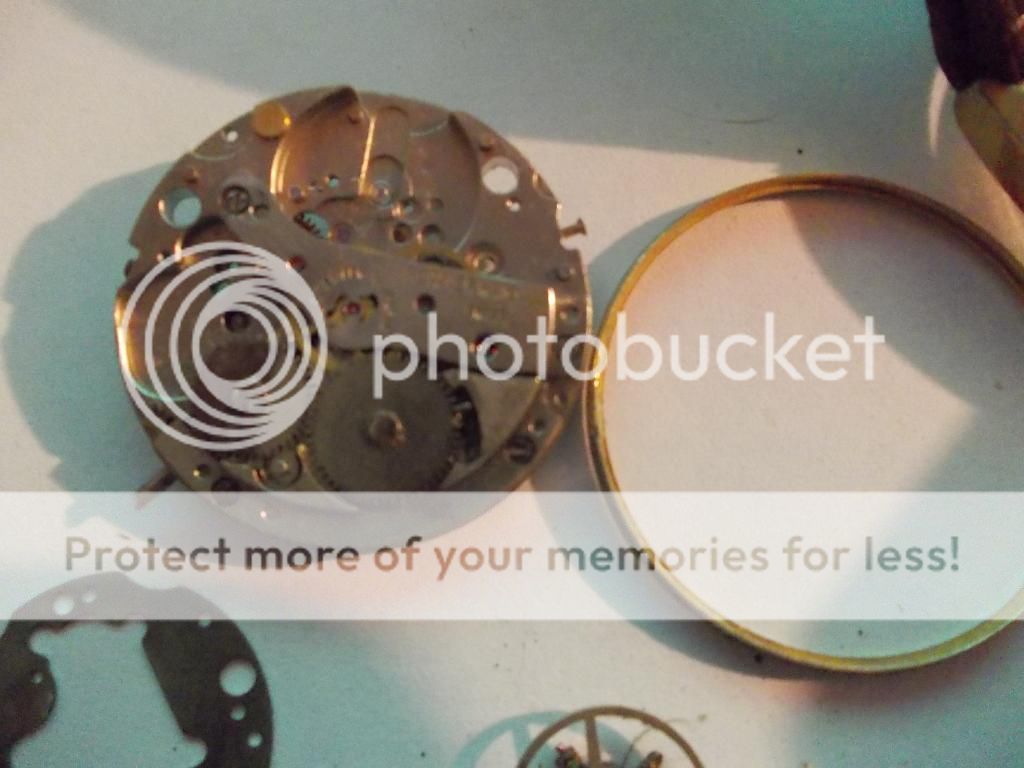 vintage roamer anfibio 17 jewel gold plated swiss made watch