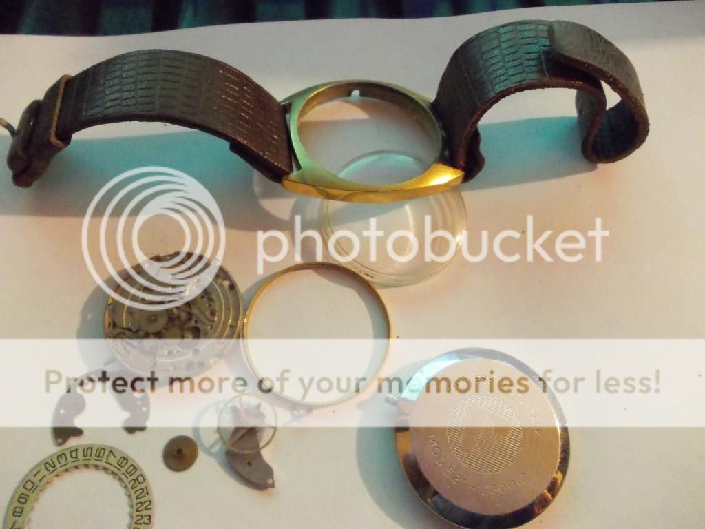 vintage roamer anfibio 17 jewel gold plated swiss made watch